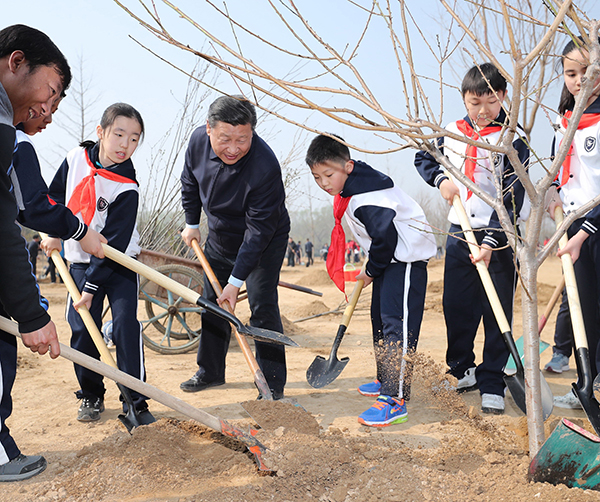 2017年习近平植树 265664547_8 拷贝.jpg