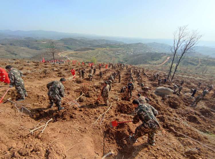 1680138329698352.jpg 45f20cd6d56f5b36bd2b65af42198ca0_80.jpg