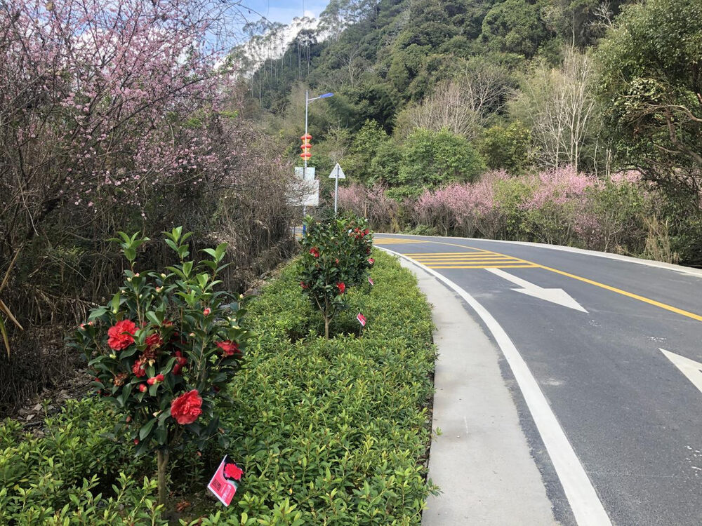 1709003351556243.png 1709003351556243.png