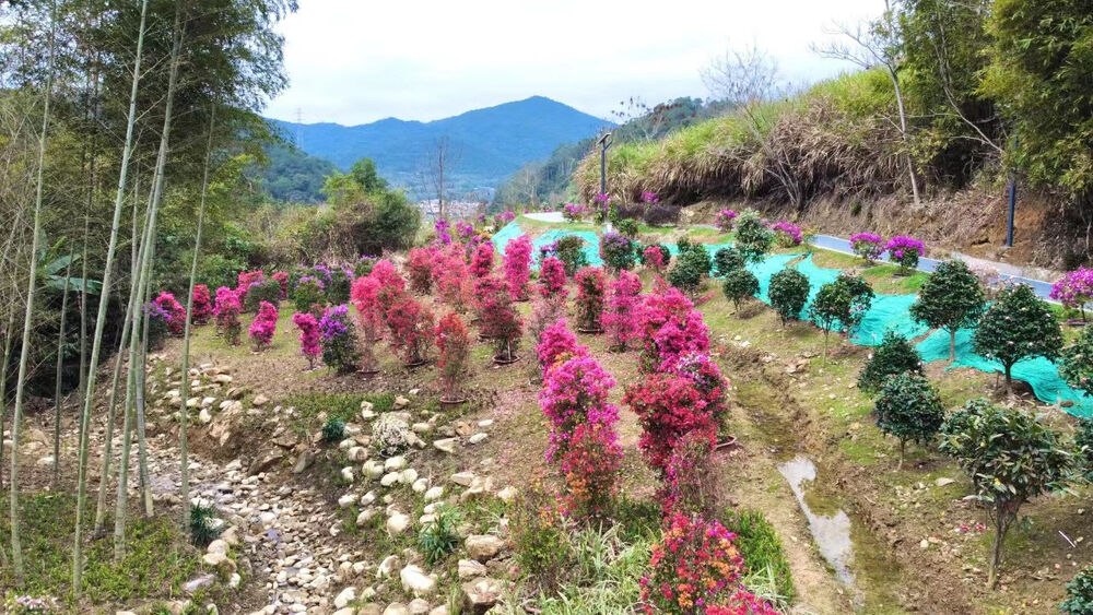 1709003377980343.png 1709003377980343.png