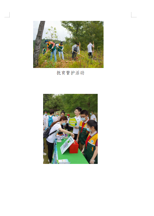 1719390006256063.png image.png