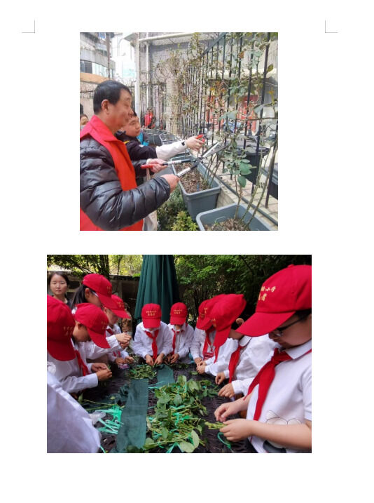 1719390197217632.png image.png