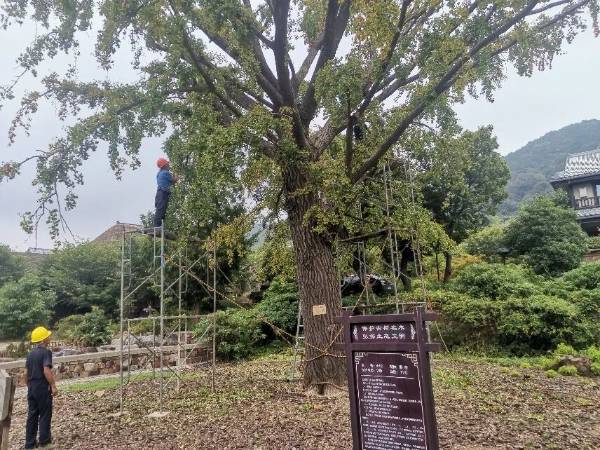 1761703909333604.jpg 2.jpg