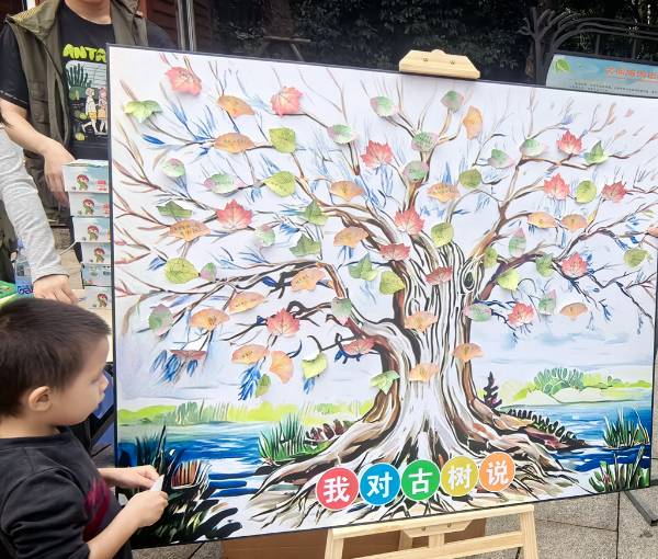 1761704308488052.png 8.png