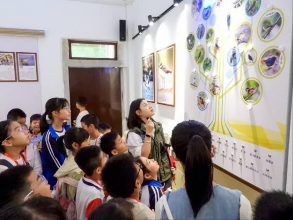 1761704314368267.png 9.png