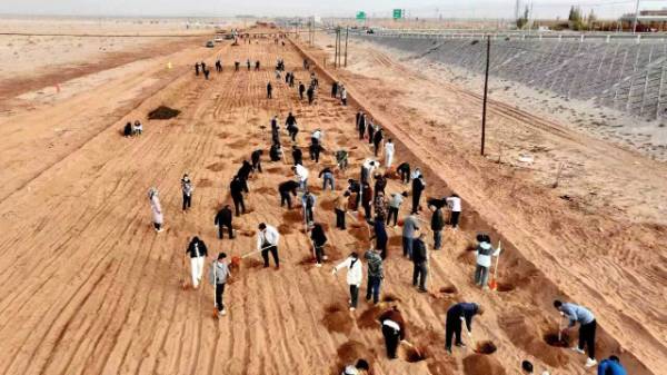 1761875594941052.jpg 1.jpg