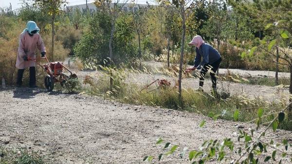 1762411949538568.jpg 4.jpg