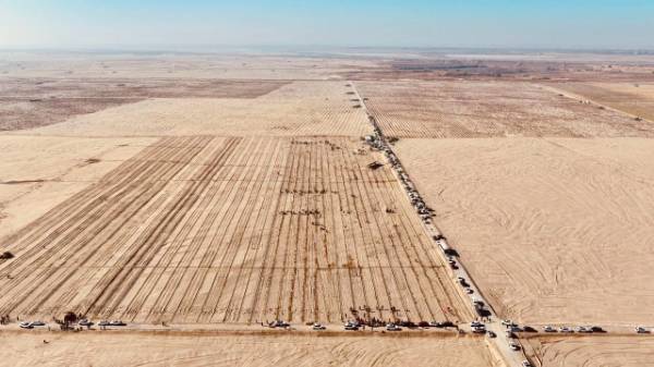 1763344420776117.jpg 1.jpg