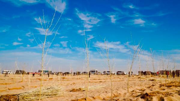 1763344424579933.jpg 2.jpg