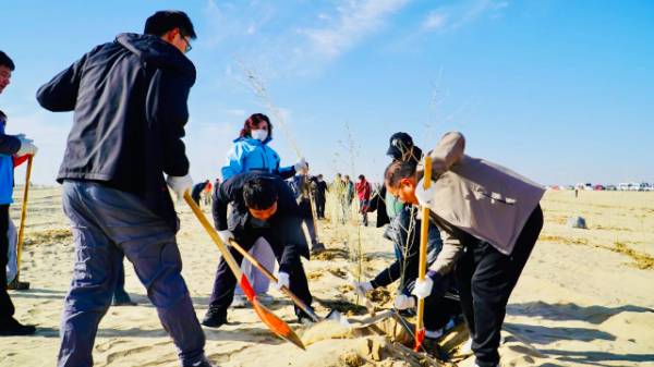 1763344446271659.jpg 4.jpg