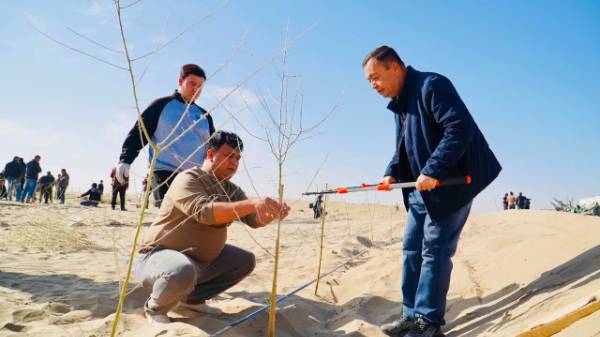 1763344467807808.jpg 6.jpg