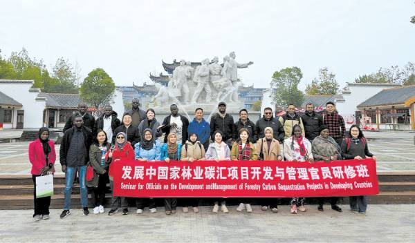 1763529251112130.jpg 9.jpg