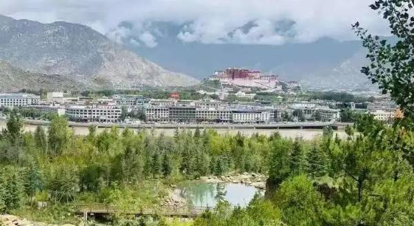 1763529789936028.jpg 7.jpg