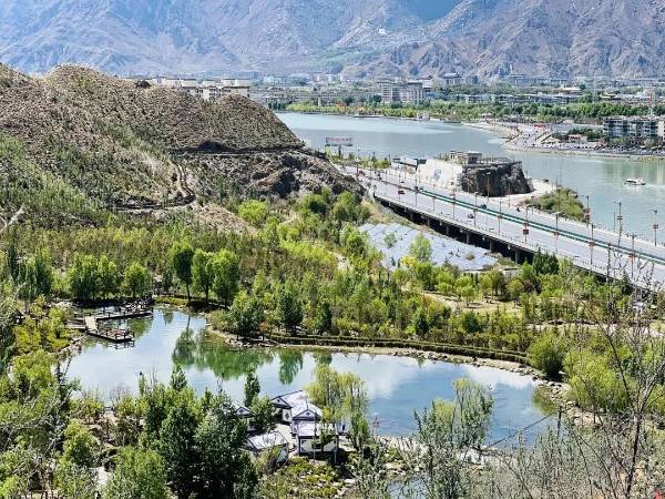 1763529824411262.jpg 6.jpg