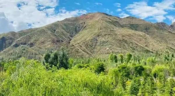 1763529858455923.jpg 5.jpg