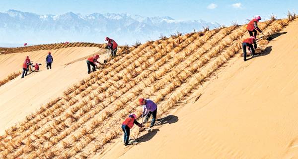 1763604420553632.jpg 1 (1).jpg