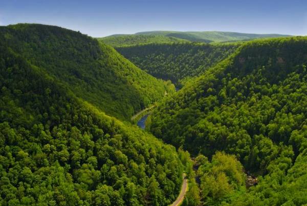 1763607144600108.png 5.png