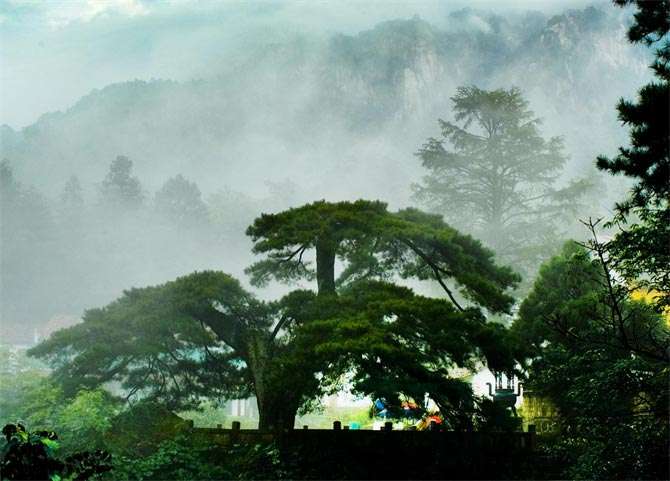 1763709128988701.jpg 1680165911124981.jpg