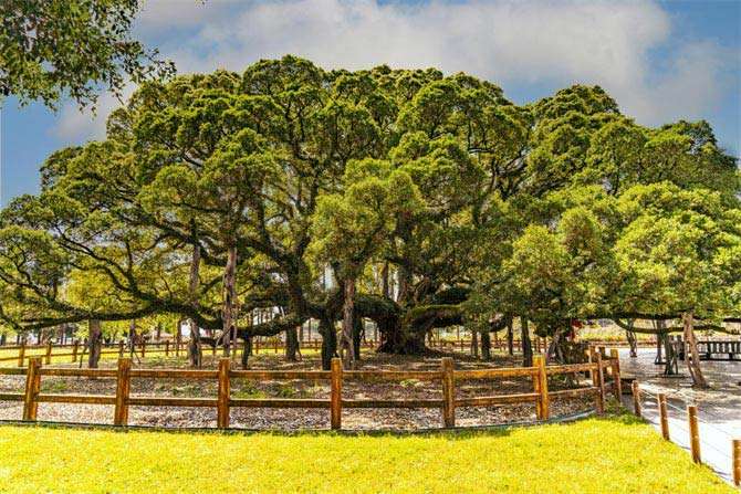 1763709142813685.jpg 1680165961728326.jpg