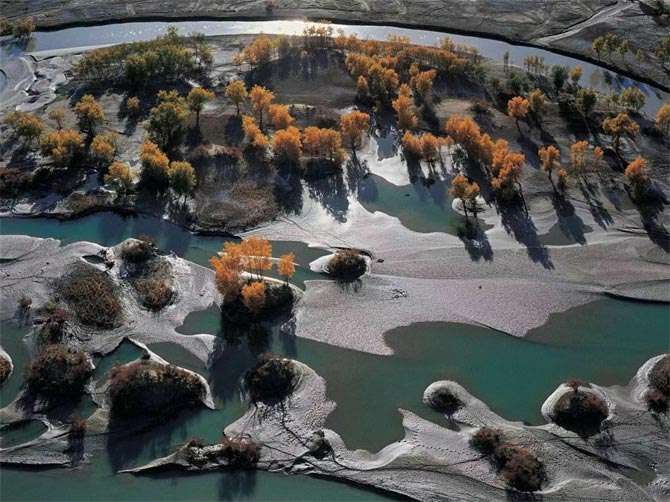 1763709148415076.jpg 1680165973998343.jpg