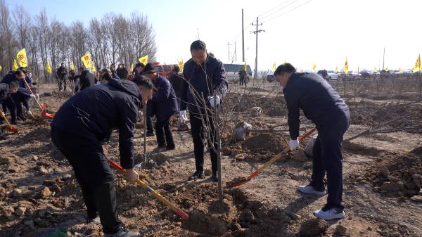 1763953342462551.png 5.png