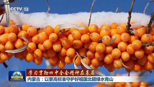 1764040218761685.jpg 3 (1).jpg