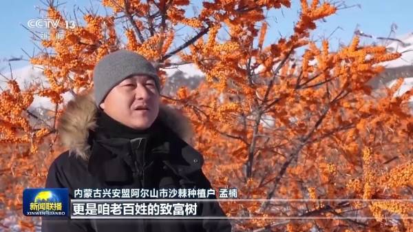 1764040225616280.jpg 4 (1).jpg