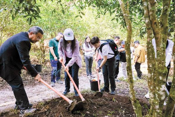 1764220000153313.jpg 1 (1).jpg