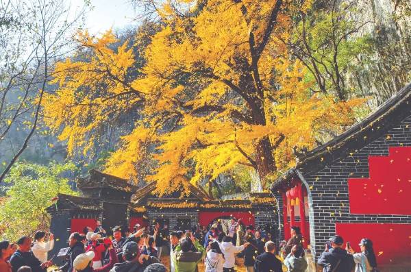 1764220940553728.jpg 2 (1).jpg