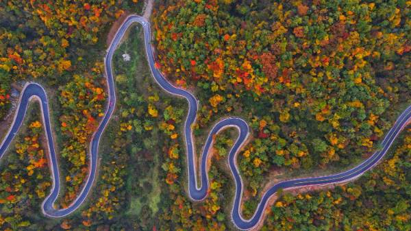 1764571074215085.jpg 8 (1).jpg