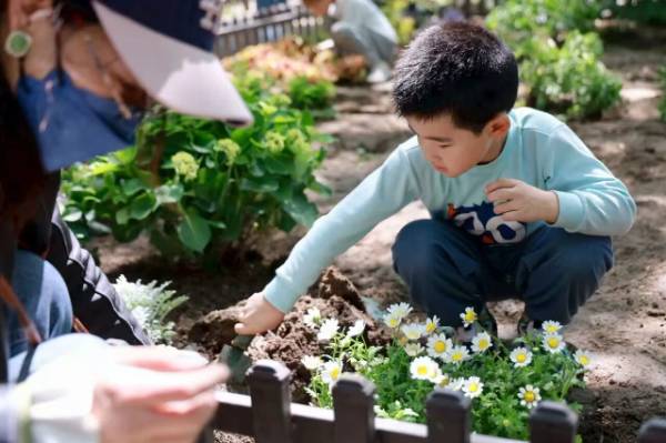 1764572016632370.jpg 4.jpg