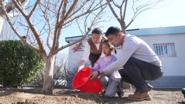 1764572039766235.jpg 6.jpg