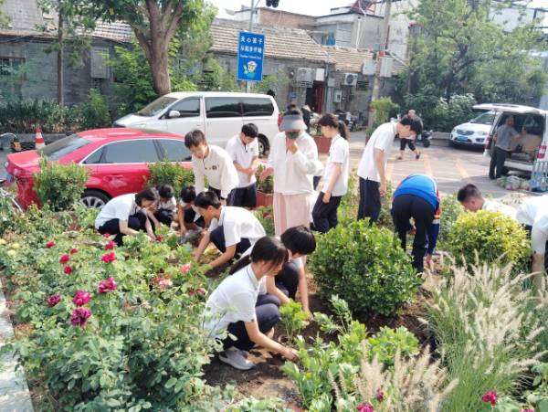 1764572049933352.jpg 7.jpg