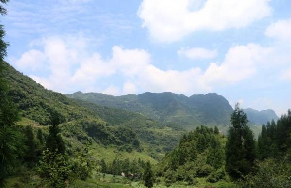 1764572966542490.jpg 1.jpg