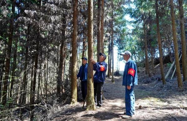 1764572979595745.jpg 3.jpg