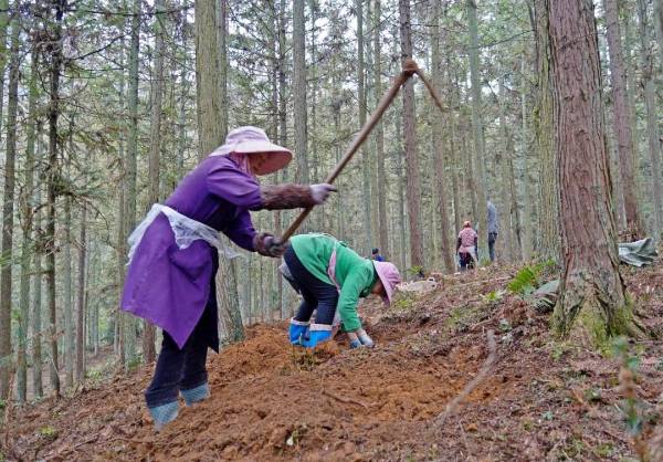 1764572997467478.jpg 6.jpg