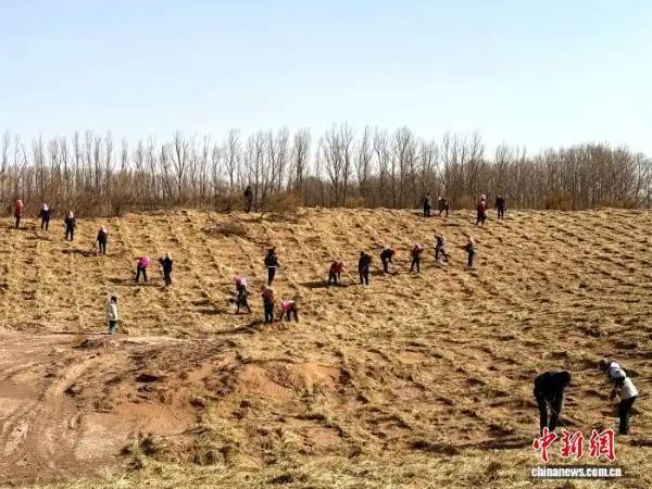 1764640884885773.jpg 3 (1).jpg