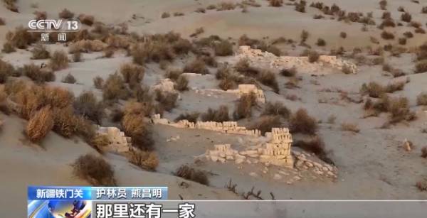 1764641712915381.jpg 2.jpg