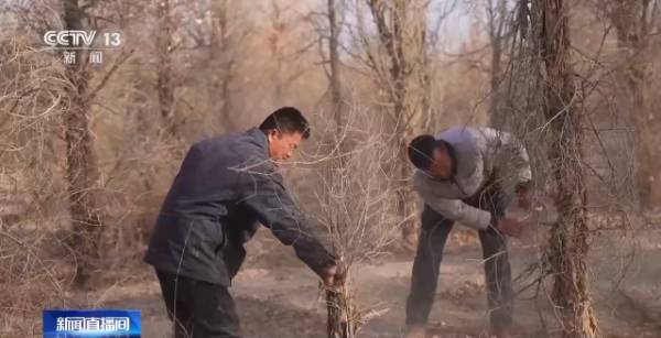 1764641740967874.jpg 5.jpg