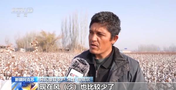 1764641929379550.jpg 11.jpg