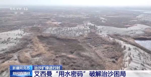 1764641938903657.jpg 12.jpg