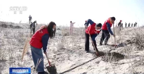 1764641970779157.jpg 16.jpg