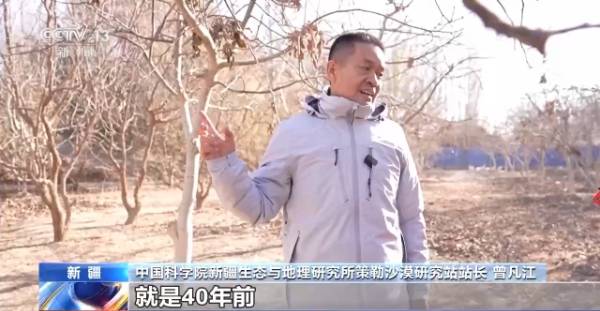 1764642099317202.jpg 19.jpg