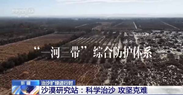 1764642117606039.jpg 21.jpg