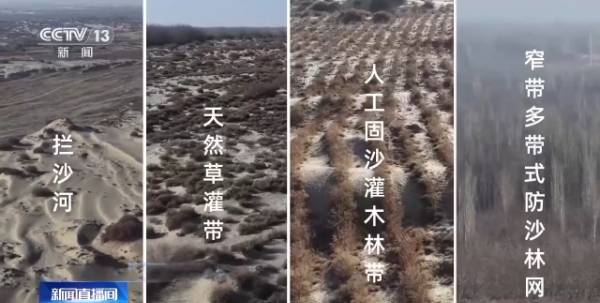 1764642145974567.jpg 24.jpg