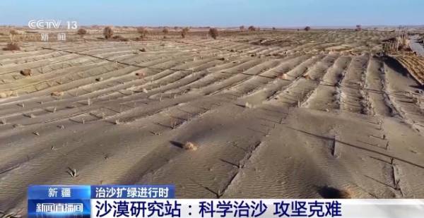 1764642162327482.jpg 26.jpg