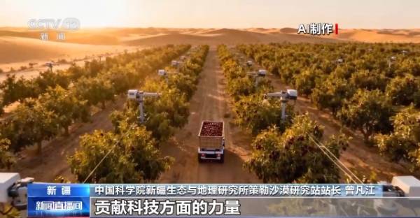 1764642205405037.jpg 31.jpg