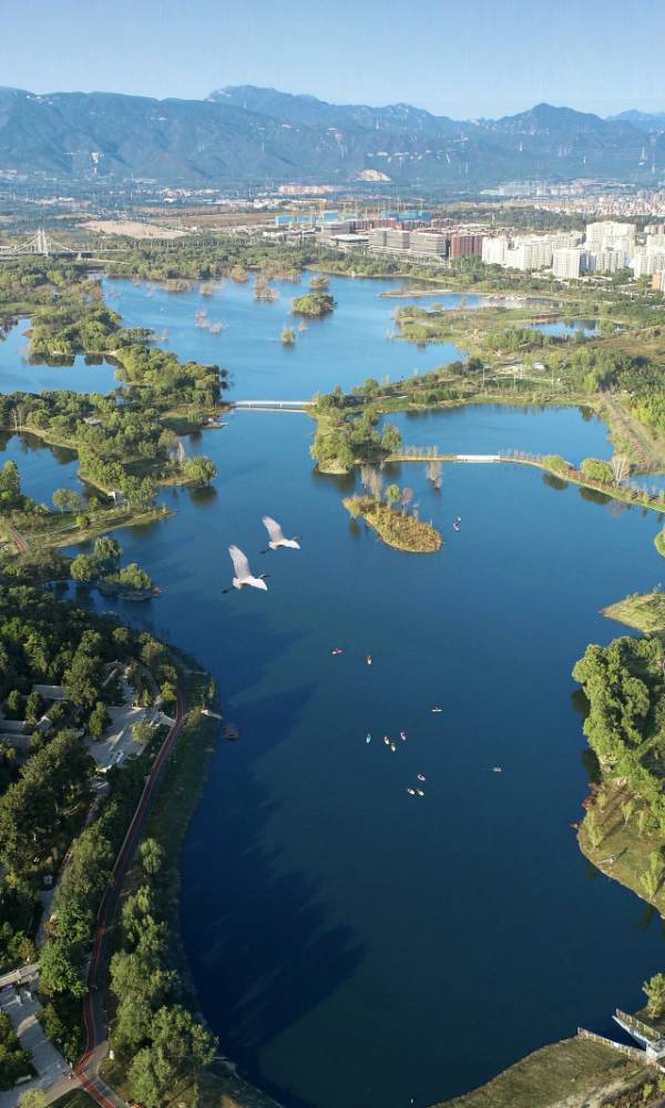 1764642852283791.jpg 1.jpg