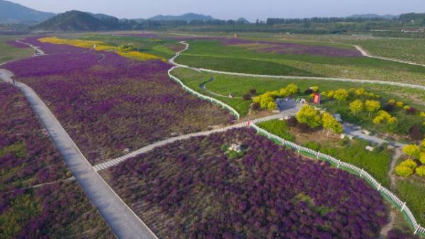 1764642920152351.jpg 3.jpg