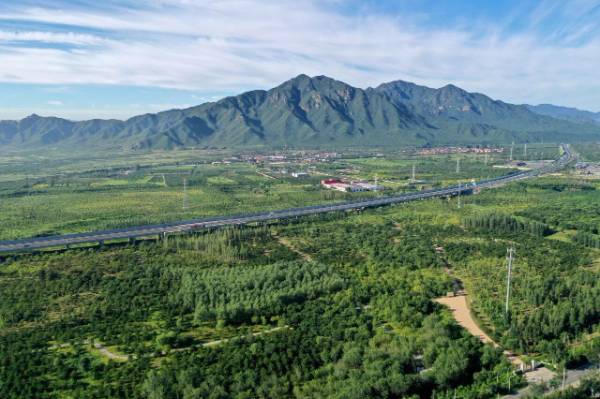 1764642989113722.jpg 7.jpg